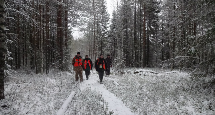 В феврале из 18 пропавших жителей Кировской области только 15 найдены живыми