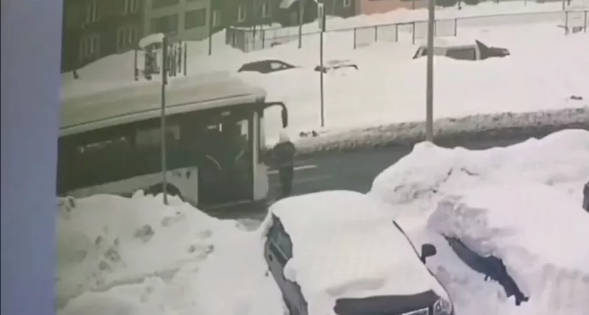  "Сначала ребенок попал под колеса авто, теперь - девушка под автобус": кировчане просят поставить светофор на "зебре" на Капитана Дорофеева