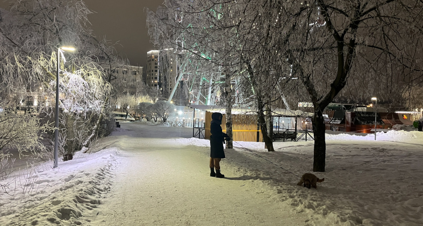 Названы 5 знаков зодиака, для которых 2026 год распахнет двери в новую жизнь