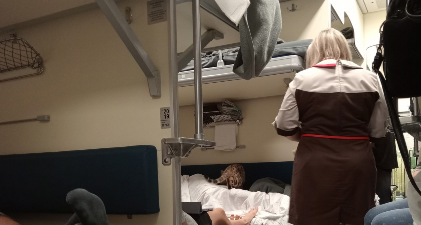 9 привычек пассажиров, которые раздражают проводников и попутчиков