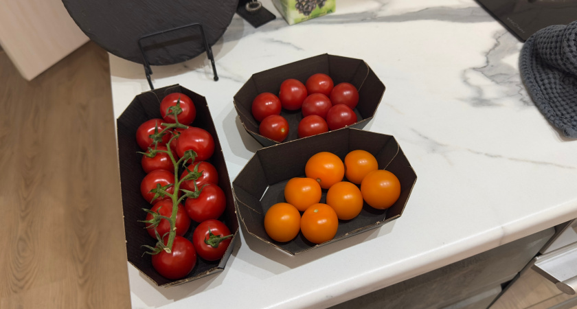 Больше никакого пластикового вкуса: ученые вывели томаты, которые пахнут очень неожиданно