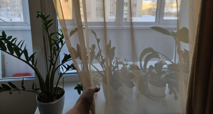 Беру обычный рулон туалетной бумаги - и из щелей не дует даже в лютый мороз. Подоконник все время теплый