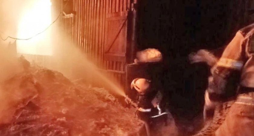 В Даровском огонь, охвативший 230 квадратных метров, оборвал жизнь человека