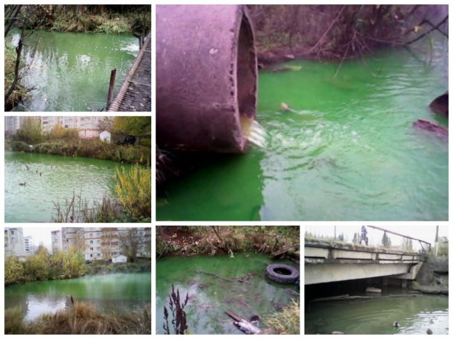 Зеленая вода в реке Люльченка: с экологической проблемой разберутся «Хранители Вятки»