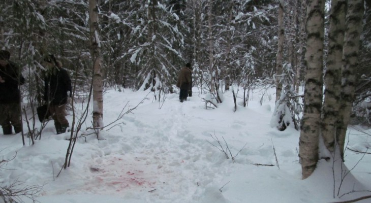 В Кировской области осудили мужчину, который убил родственника на охоте