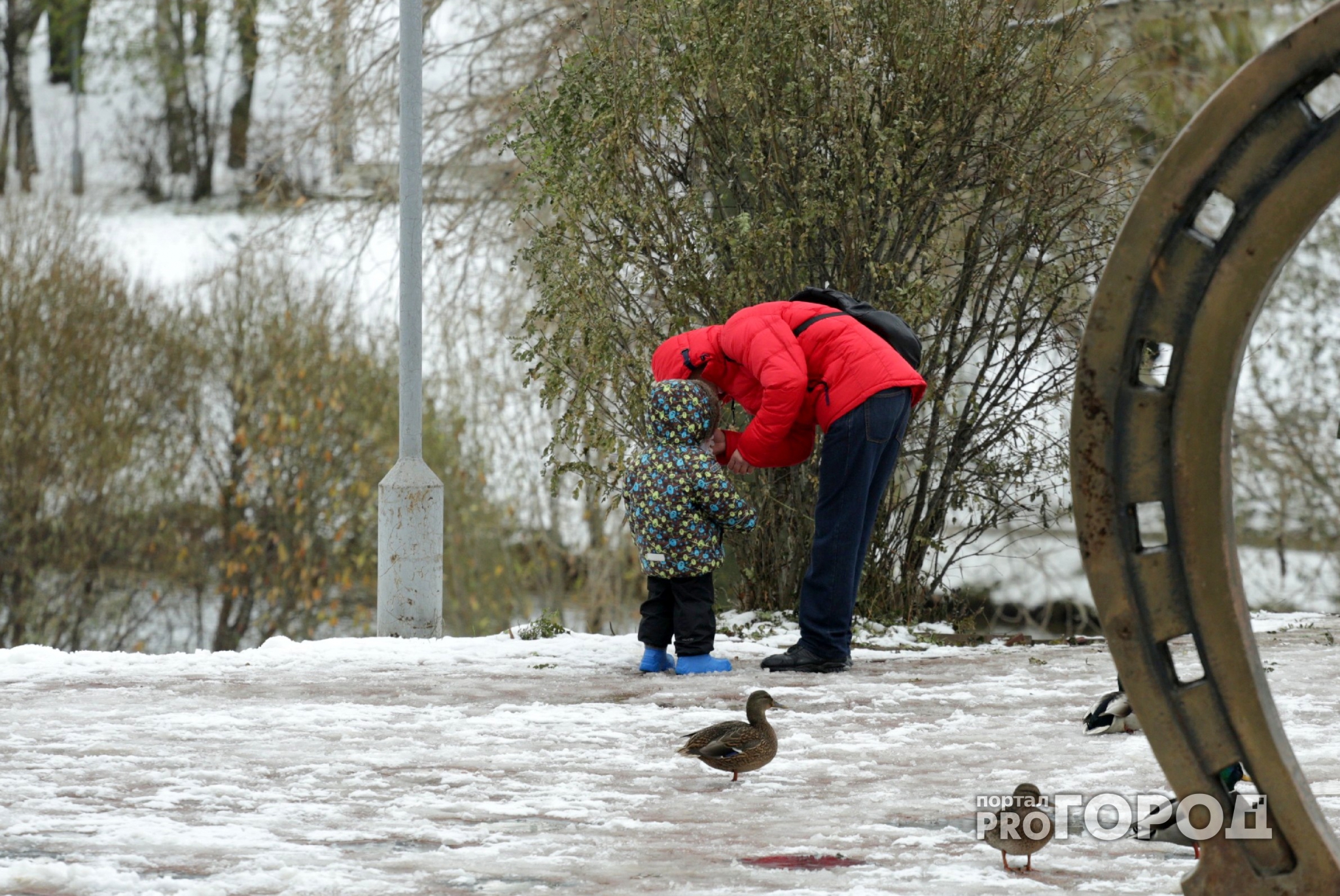 Холодная и снежная погода в Кировской области продержится еще две недели