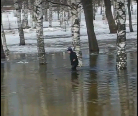В затопленном Кочуровском парке ребенок оказался по пояс в воде