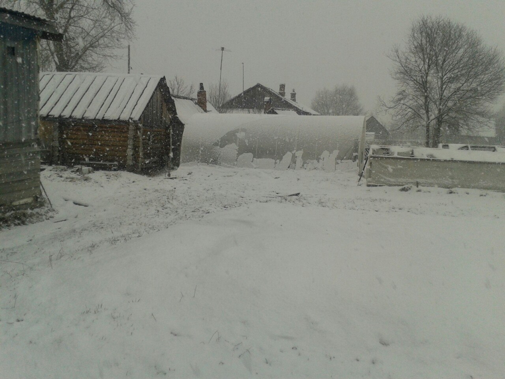 В некоторых районах Кировской области 9 мая выпал снег