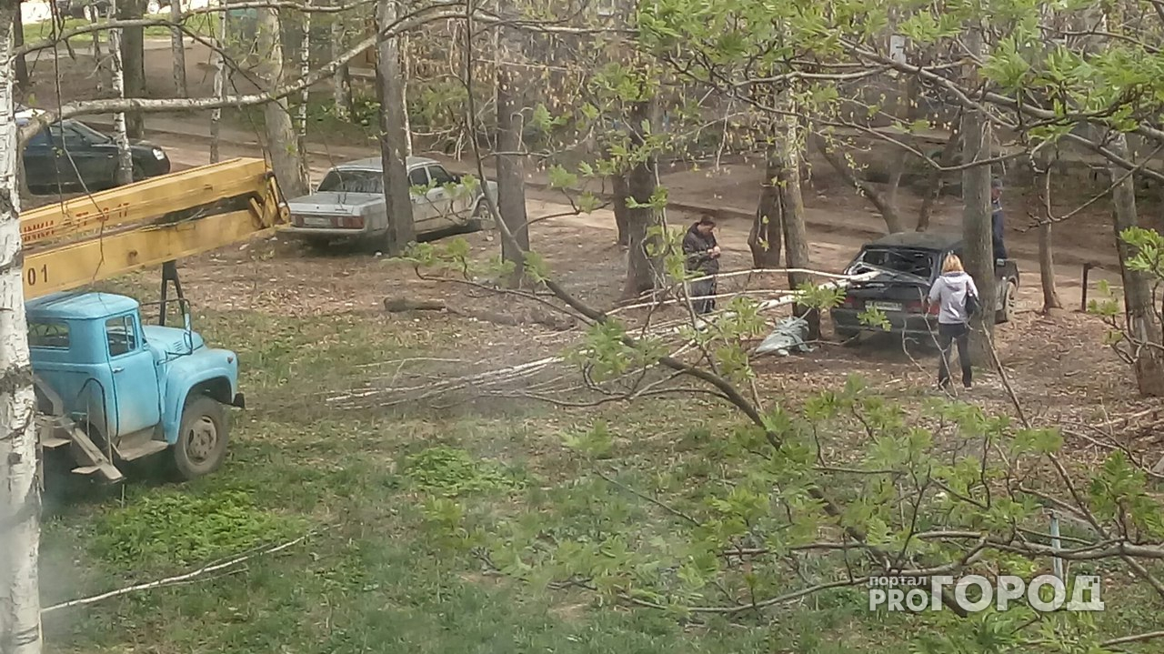 В Кирове ветка аварийного дерева разбила окно автомобиля