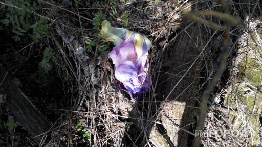 В Зубаревском лесу города Кирова обнаружили труп новорожденной девочки