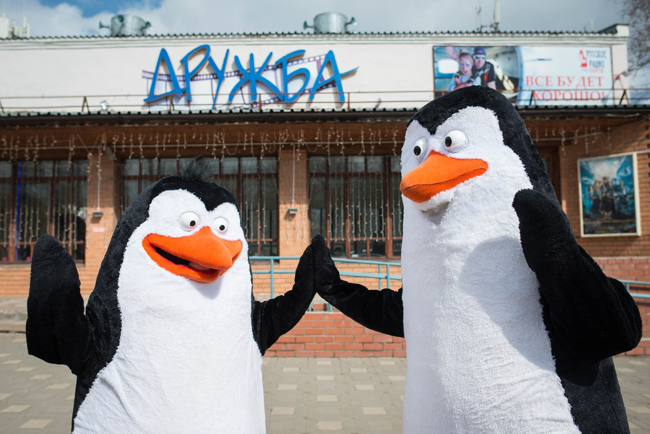 Кинотеатры "Смена" и "Дружба" обновлены к летнему киносезону