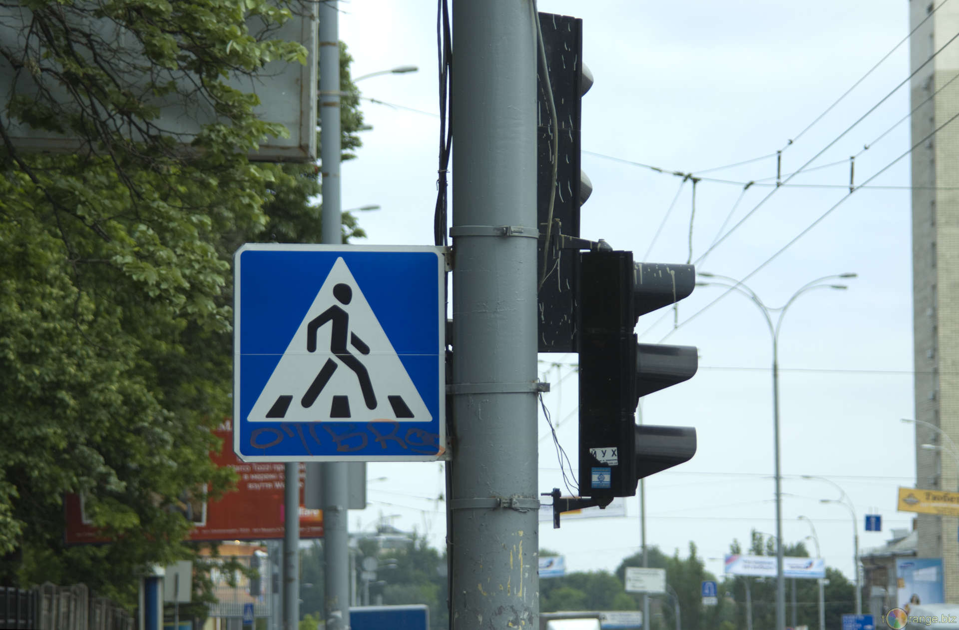 В Кирове может появиться первый диагональный пешеходный переход