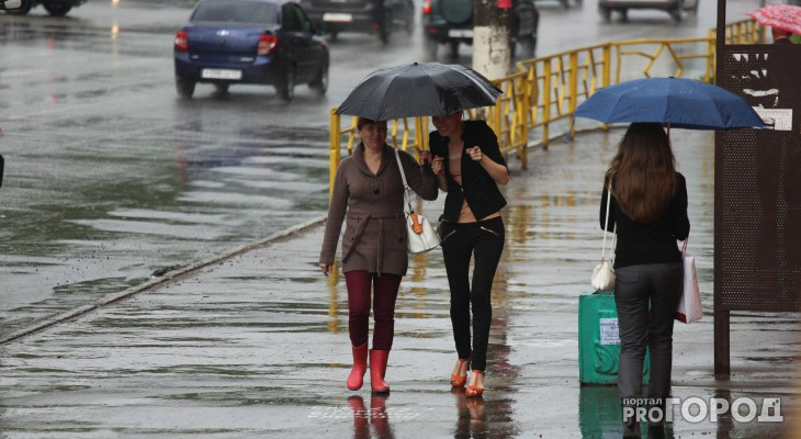 МЧС опубликовало прогноз погоды в Кирове на понедельник