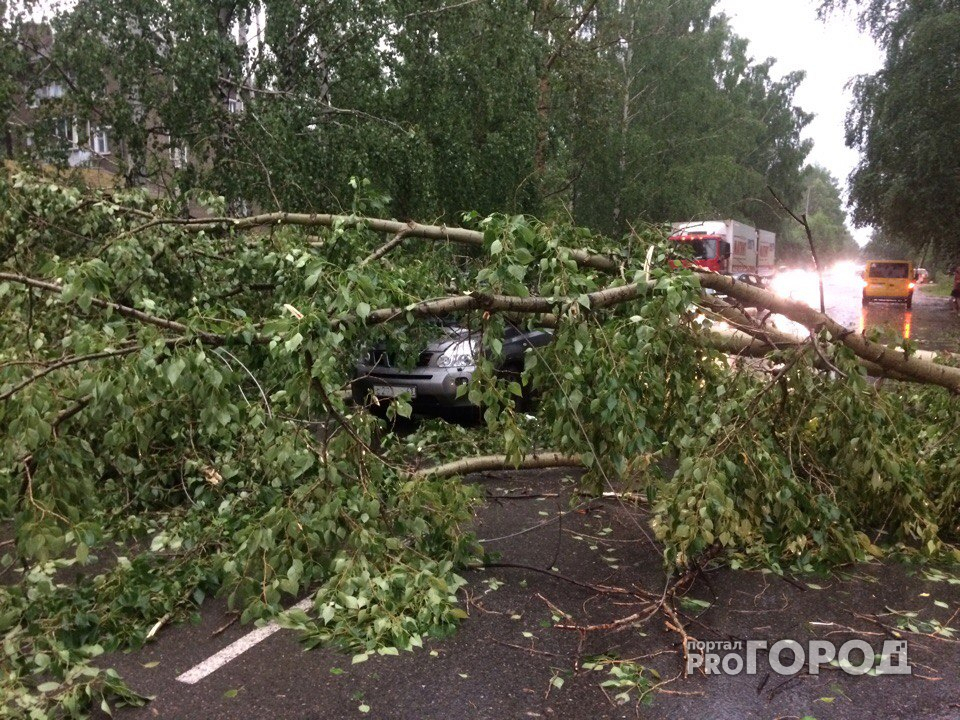 7 зрелищных видео о последствиях урагана в Кирове