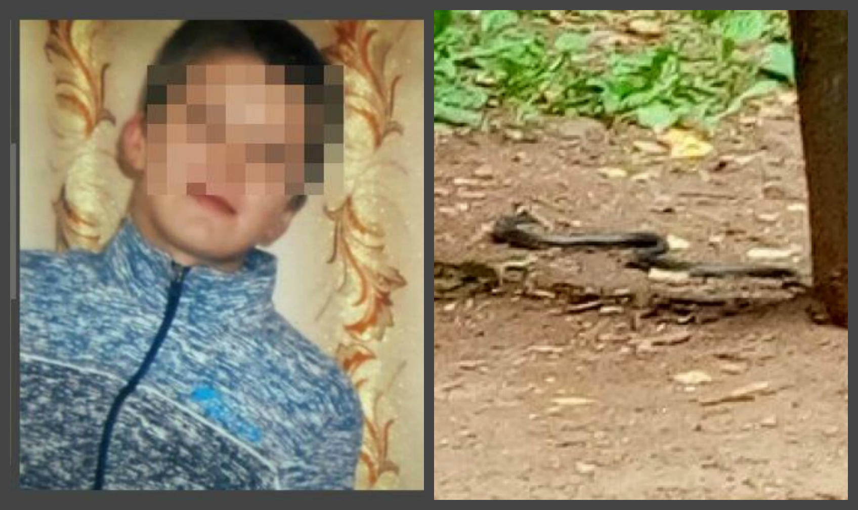 Что обсуждают в Кирове: поиски пропавших детей и змея на детской площадке