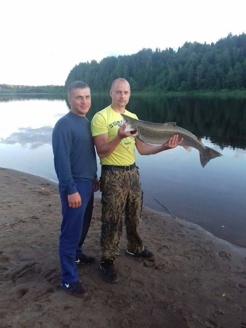 Рыбаки поймали в Кировской области редкую рыбу