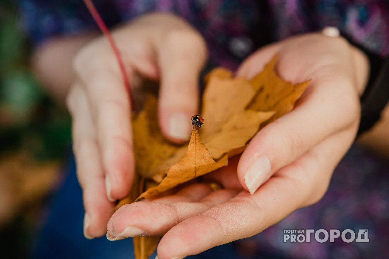 Прогноз погоды от МЧС: потеплеет ли в Кирове в среду?