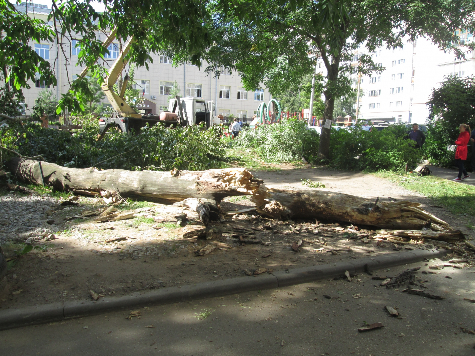 В Кирове во время уборки деревьев во дворе погиб мужчина