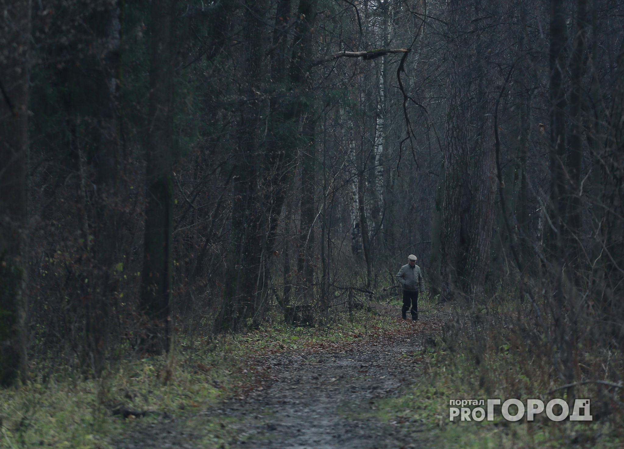 Кировские полицейские нашли в лесу мужчину, который пропал в июле