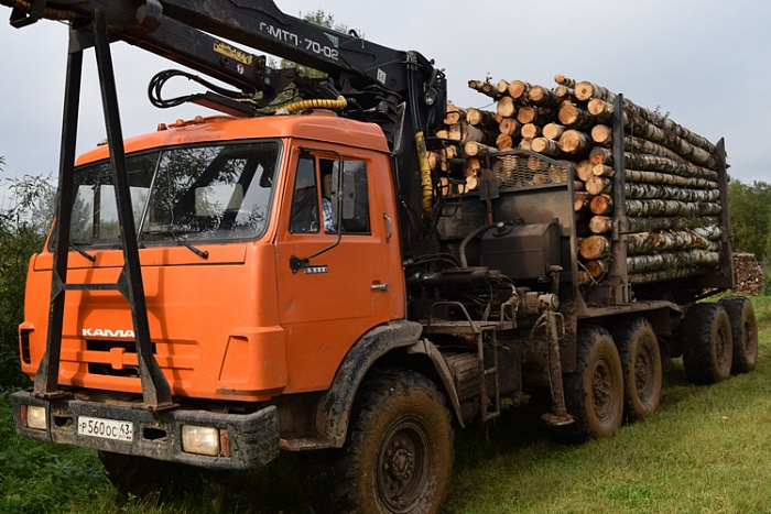 В Кировской области начали бесплатно раздавать дрова