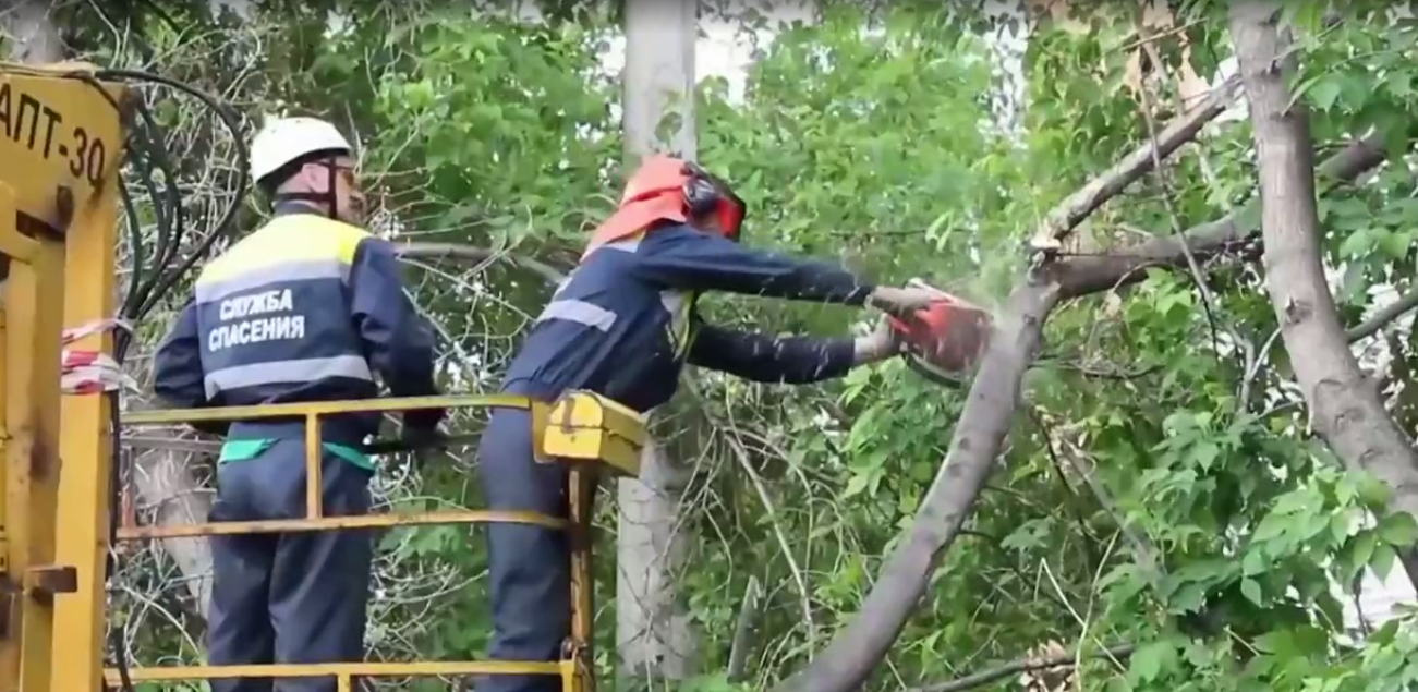 Первый канал рассказал о последствиях урагана в Кировской области