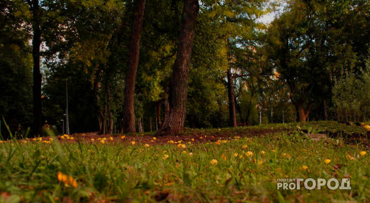 В МЧС рассказали, какой будет погода в Кировской области в пятницу