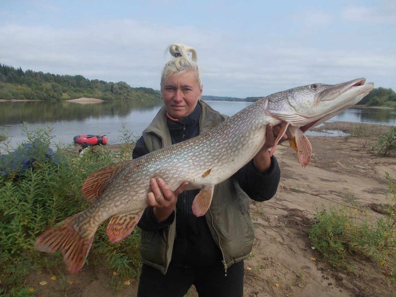 Рыба в реке Вятка Кировской области