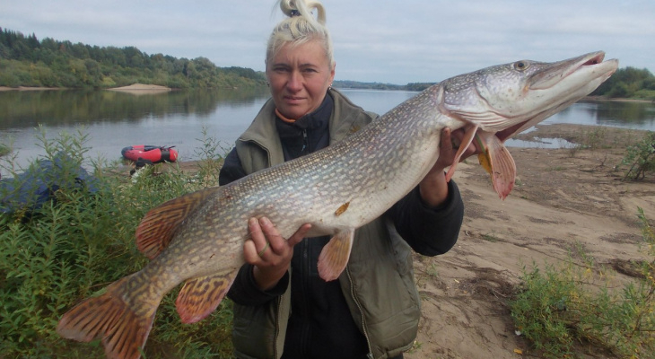Что обсуждают: огромная щука и подборка цитат Никиты Белых с заседания