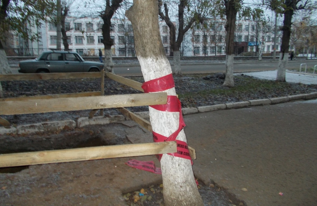 В Кирове подрядчик заплатит штраф за доски на деревьях