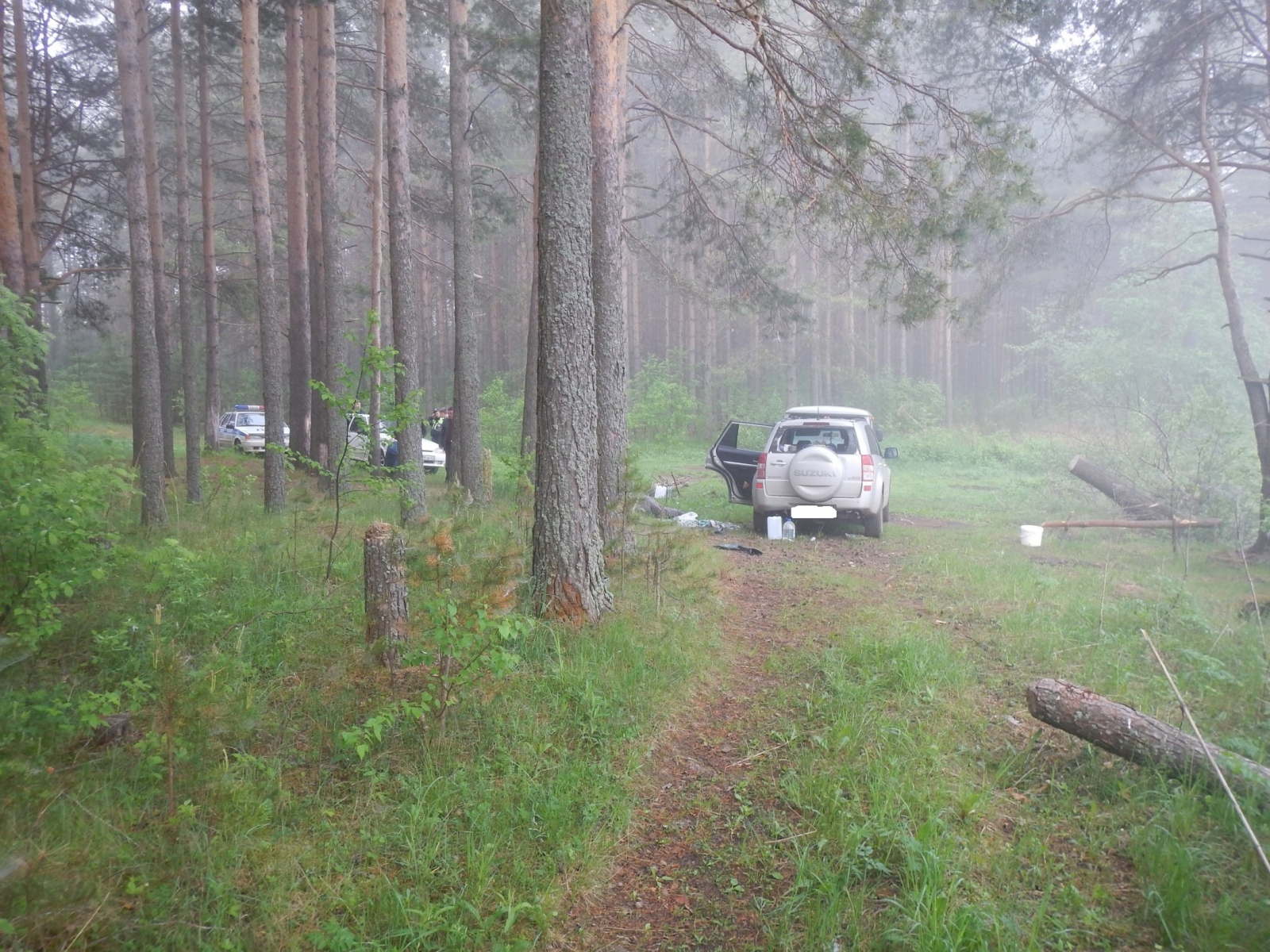 В Кировской области мужчина убил соперника в лесу
