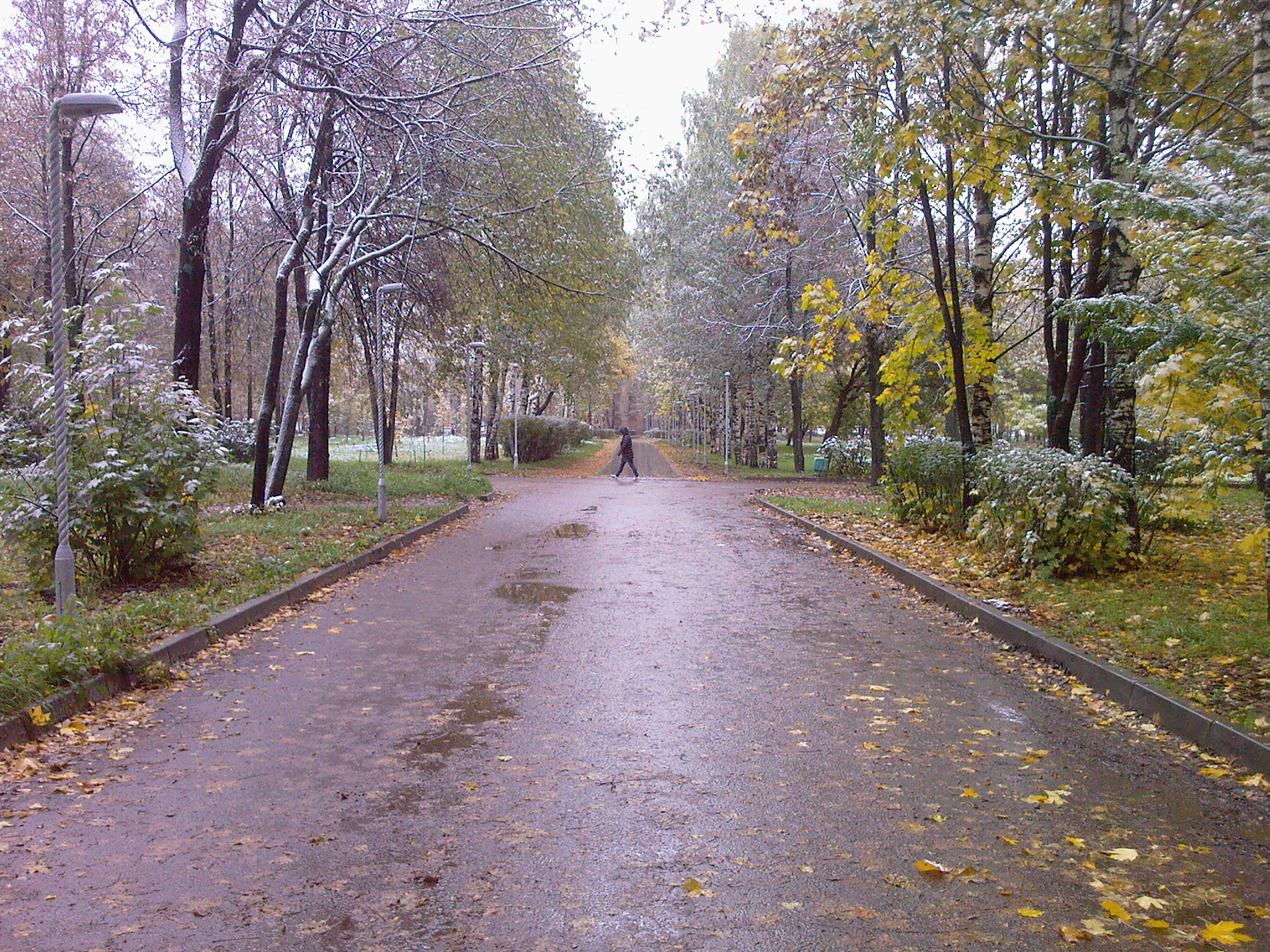 Прогноз погоды в Кирове: в выходные потеплеет