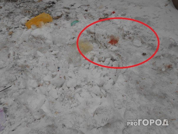 Очевидцы: «На улице Красина в мусорном баке нашли новорожденного ребенка»