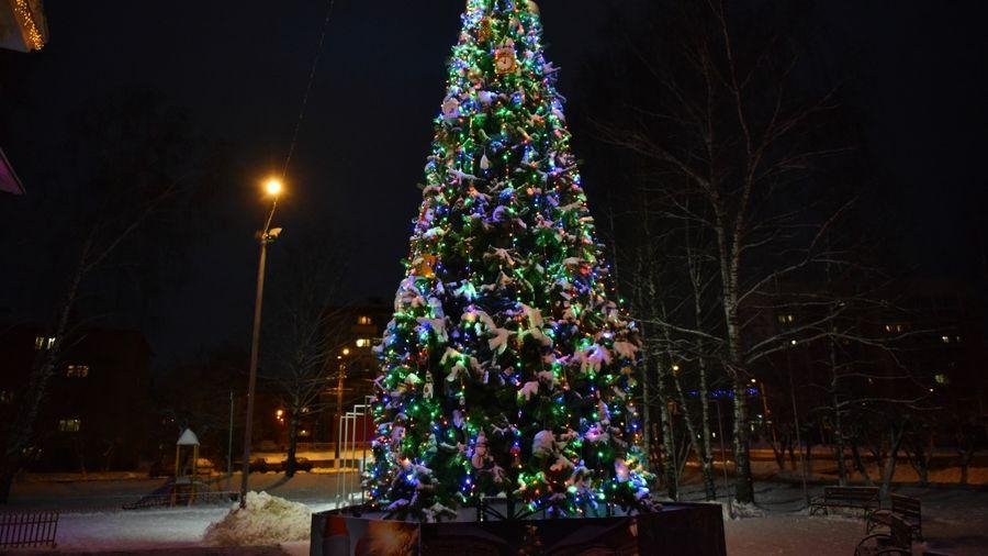 10 фотографий самых красивых новогодних елок Кирова