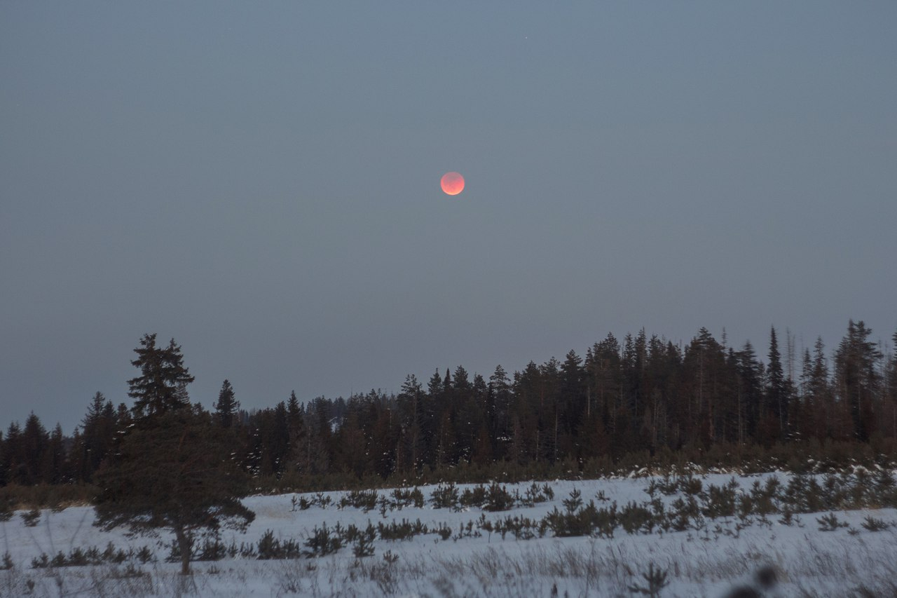 8 фотографий лунного затмения в Кировской области