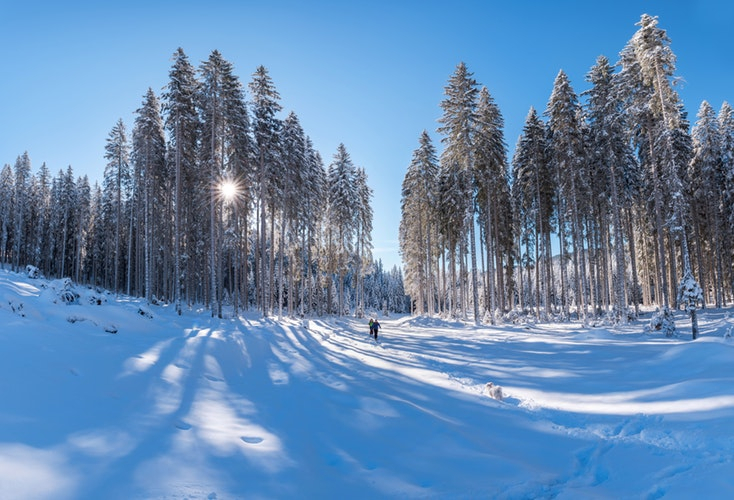 МЧС предупреждает о 32-градусном морозе в Кировской области