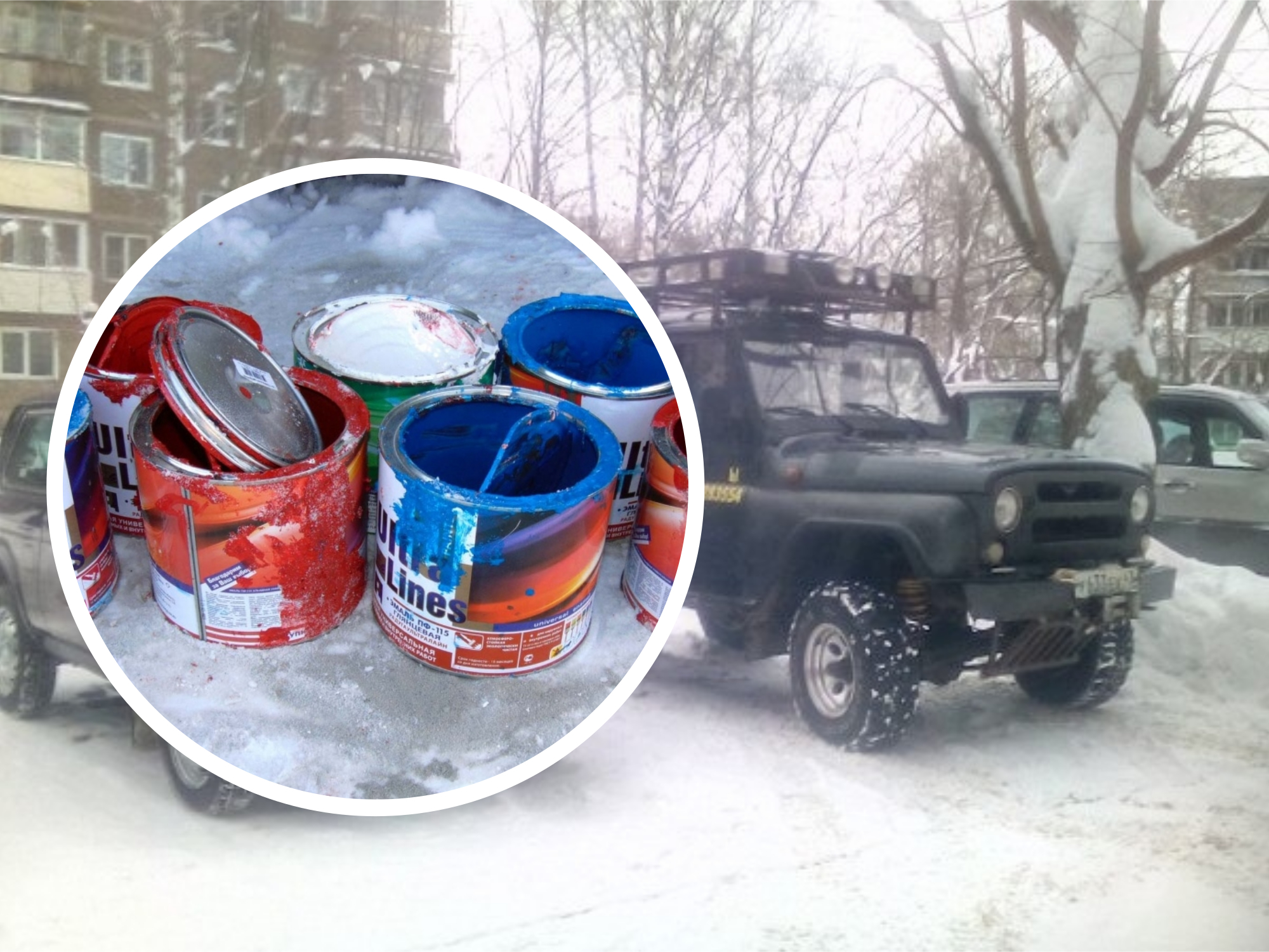 Кировчанин: «Зоозащитники по ошибке облили краской мою машину»