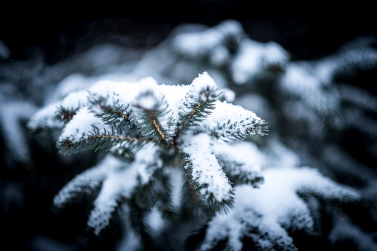 МЧС предупреждает о метели и морозах в Кировской области