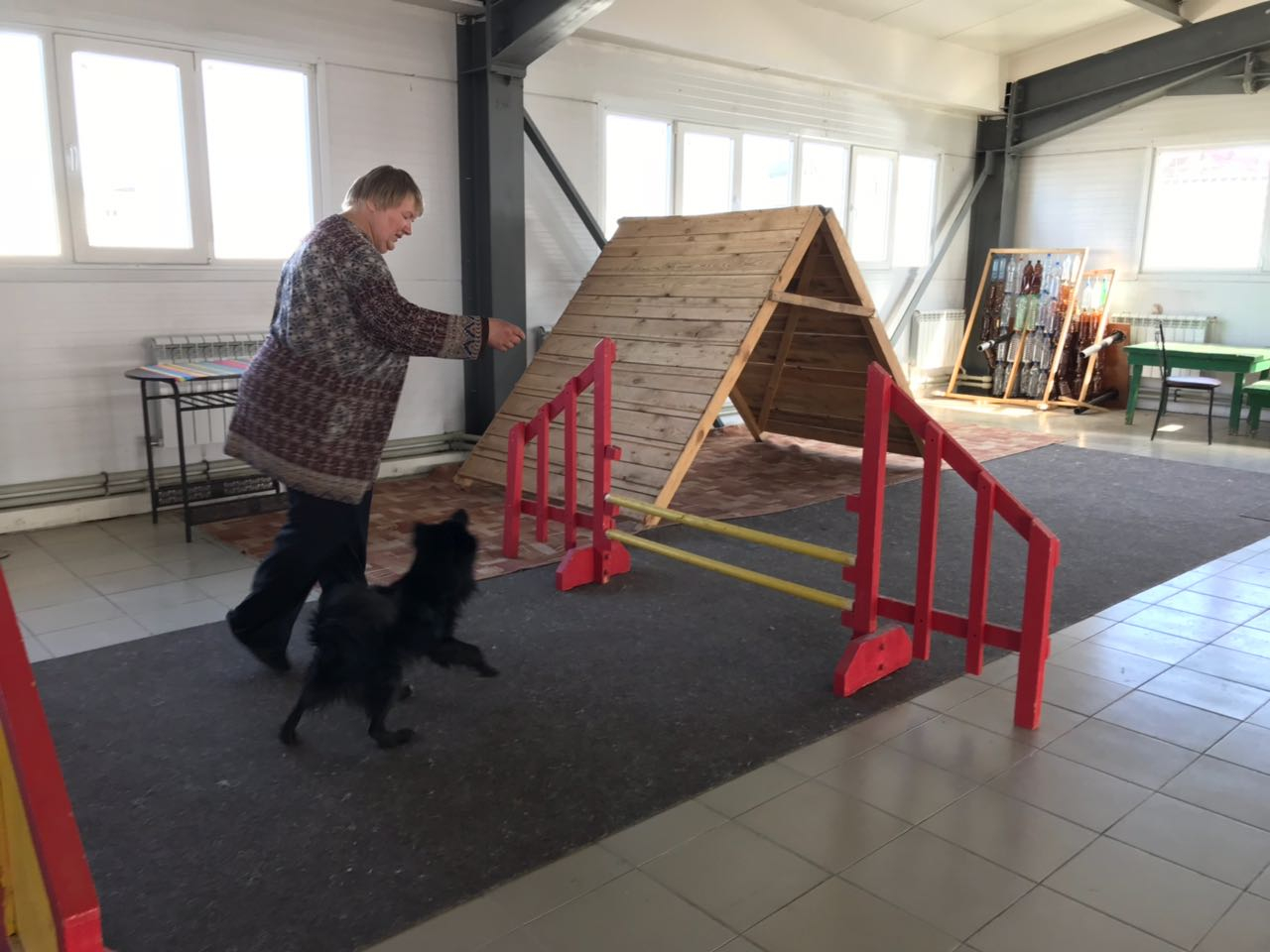 Ванечка, Ежик, Бим, Цыпа и Эй: в Кирове готовят собак для работы с детьми-инвалидами
