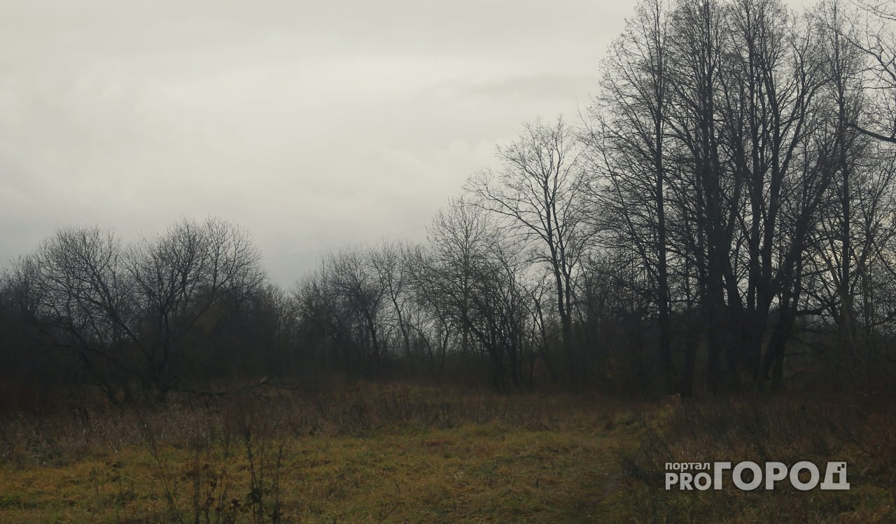 В Кировской области похитили 24-летнего парня, увезли в лес и убили
