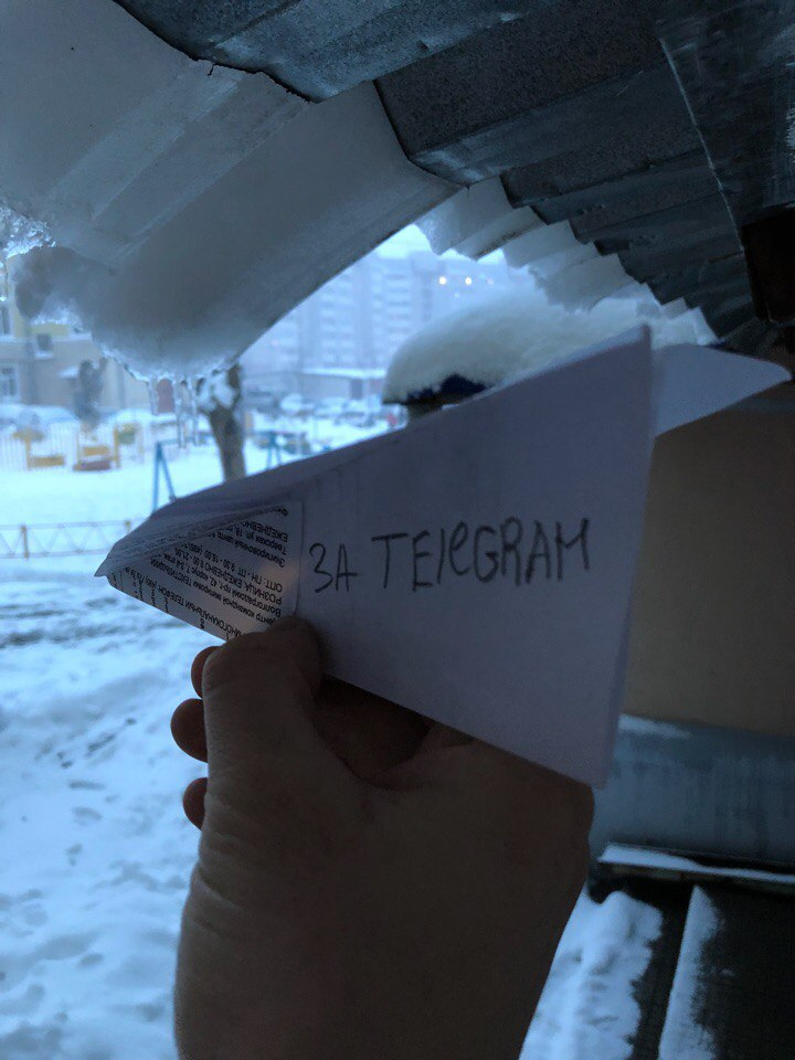 Кировчане поддержали флешмоб в поддержку Telegram
