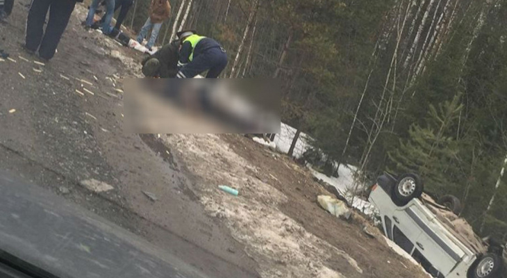 Что обсуждают в Кирове: падение детей из окна и смертельное ДТП