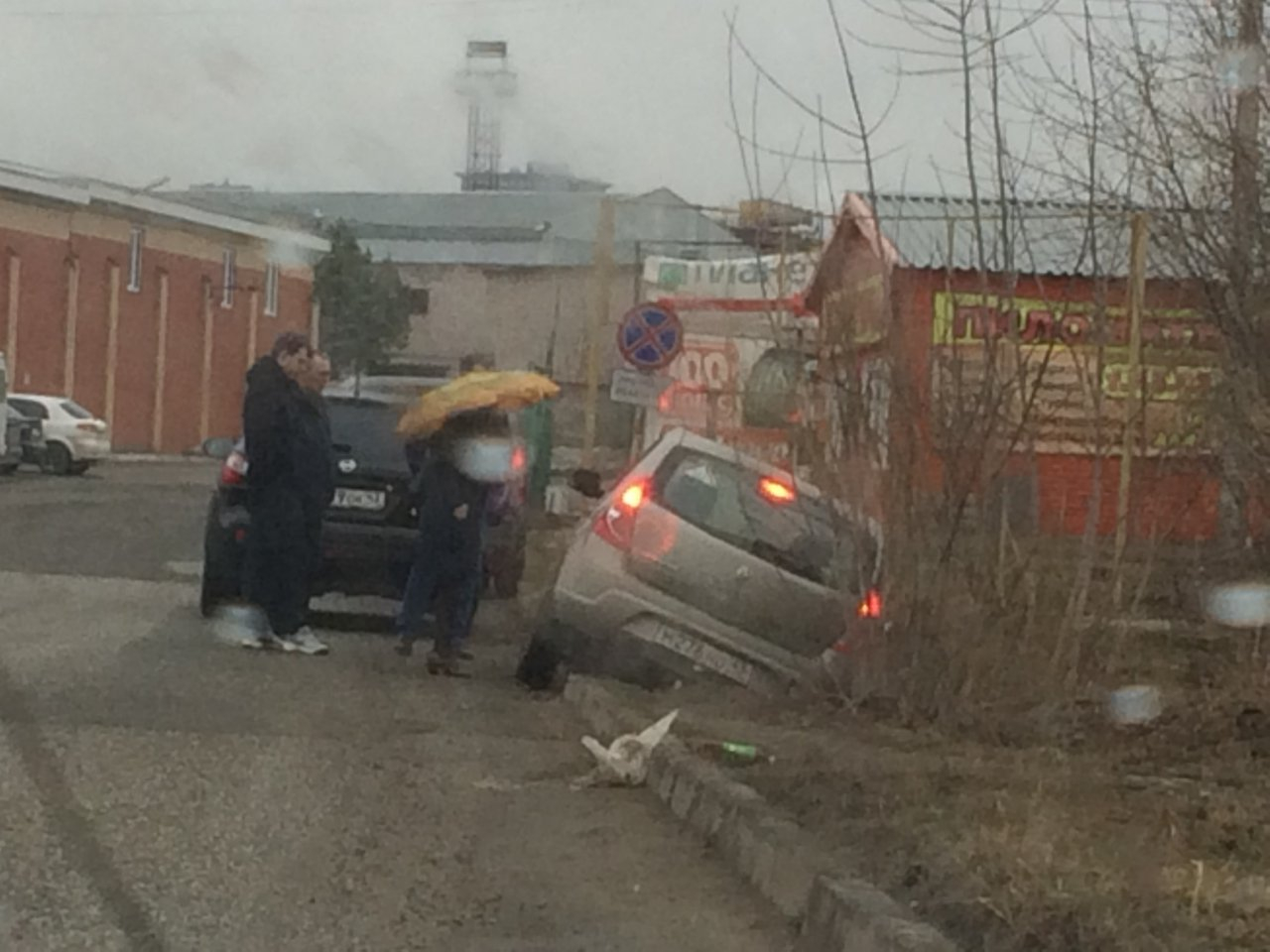 Брошенные животные, пожар в машине: что еще сняли на улицах Кирова на этой неделе