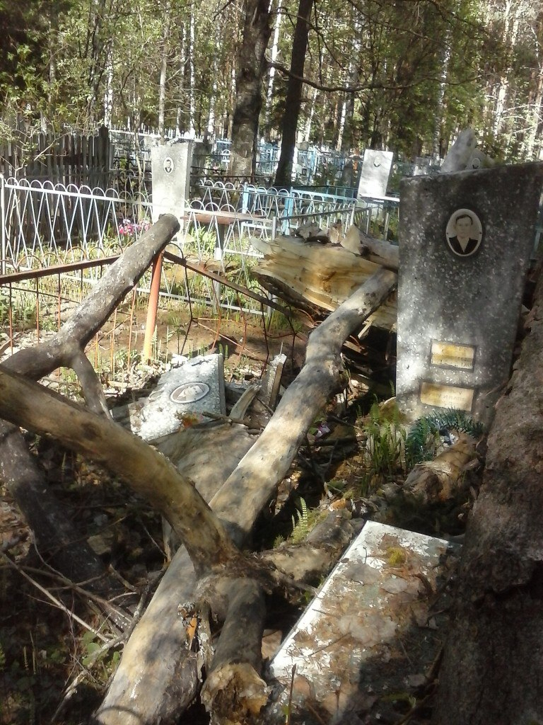 В Кирове на могилы рухнули старые деревья