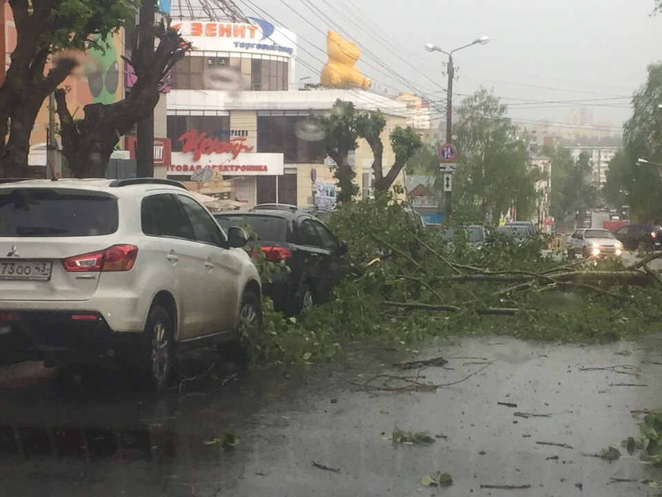 В Кирове из-за урагана на машины упало несколько деревьев