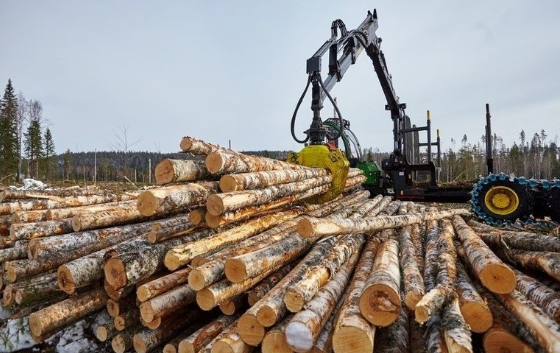 Известно, сколько миллиардов Кировская область заработала на продаже леса