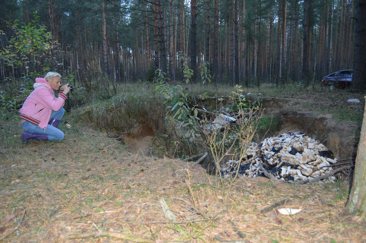 Останки животных и шприцы, найденные в пригороде Кирова, не торопятся убирать