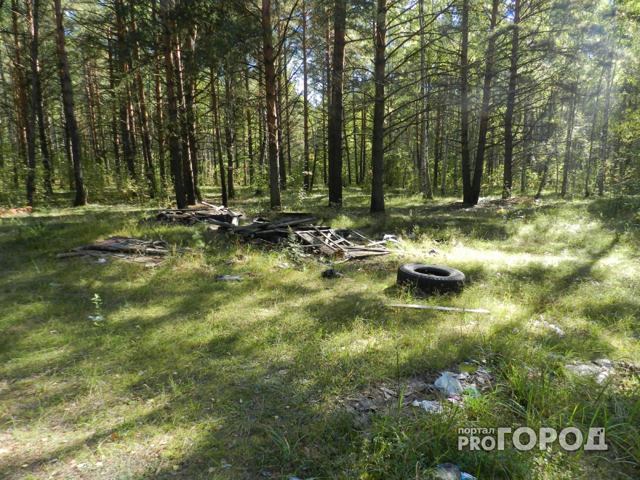 СМИ: в Кирове у ночного клуба похитили 20-летнего студента и увезли в лес