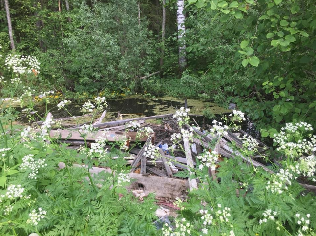 Возле Победилово обнаружили свалку строительного мусора и гниющего леса
