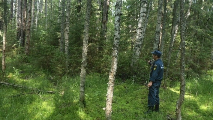 В Кировской области нашли тело пропавшего несколько дней назад мужчины
