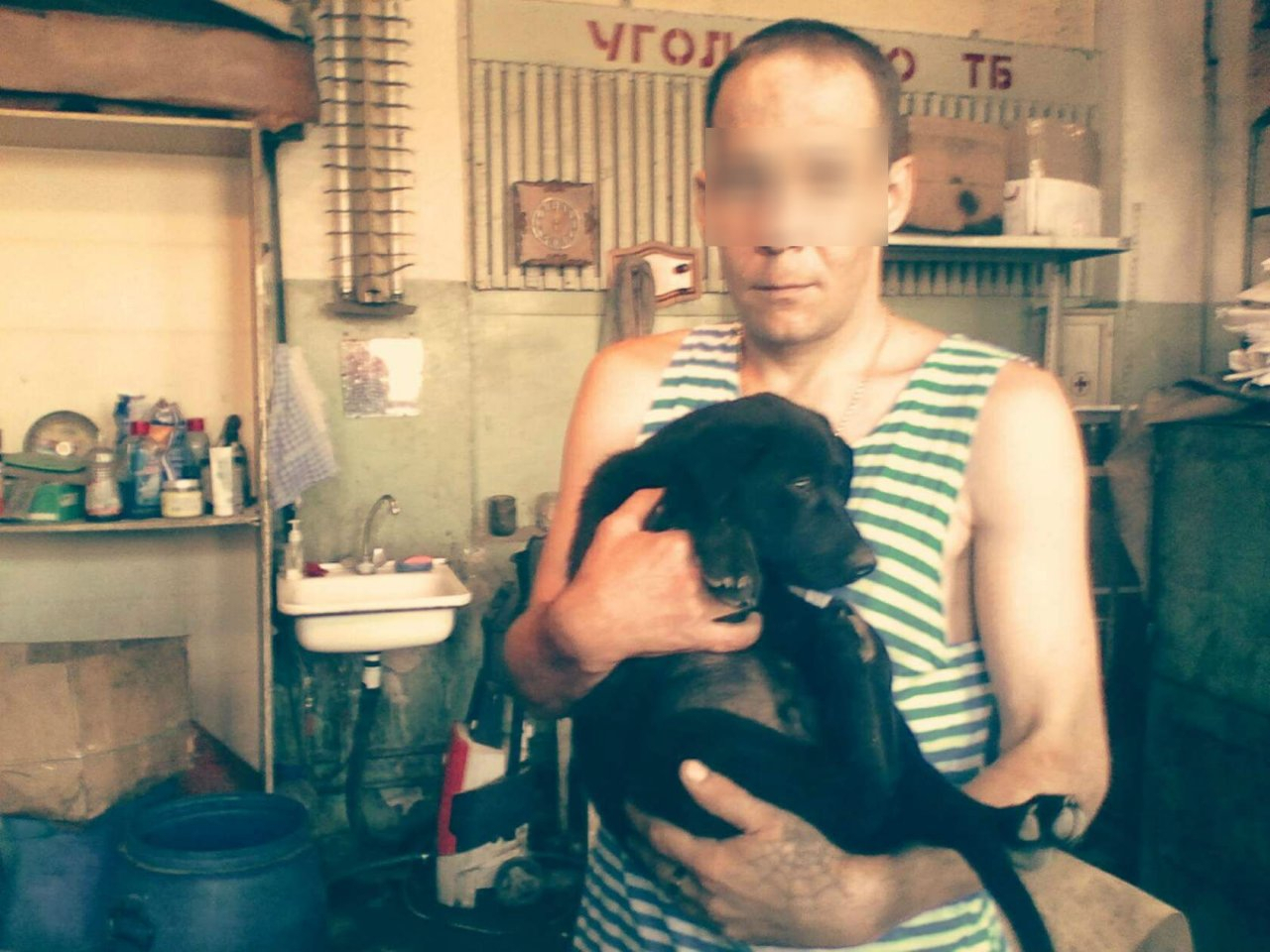 Известна личность живодера, который сбросил собаку с 6 этажа в Чепецке
